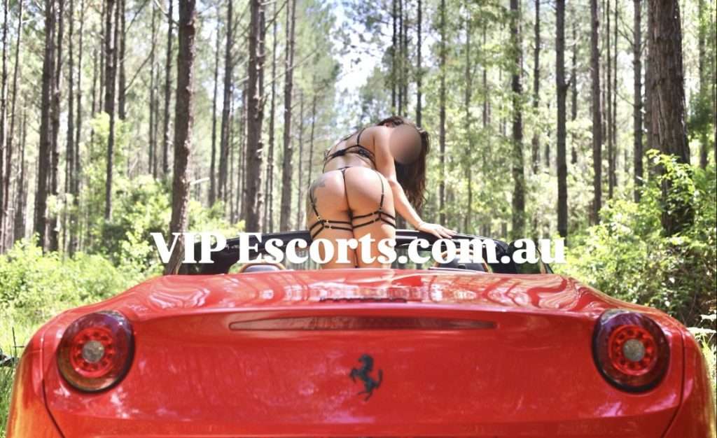 Sunshine Coast Brazilian escort Melissa offering VIP experiences for gentlemen and couples, combining playful energy, curves, and luxury escort services.